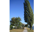 An-der-alten-donau