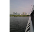 Donauinsel