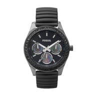 Fossil-stella-es2954