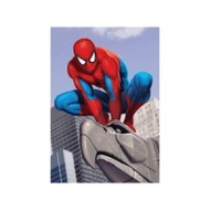 Mammut-spiel-a30pbna2-spider-man