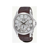 Seiko-snp023p1