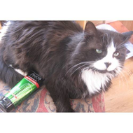 Felix-praesentiert-fructis-haar-gel