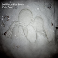 50-words-for-snow-kate-bush