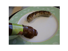 Kania-hot-chili-sauce-na-bitte-da-kommt-sie-schon