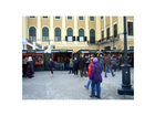 In-schoenbrunn