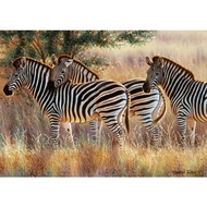 Ravensburger-191130-zebraherde-1000-teile