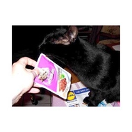 Die-packung-ist-ok