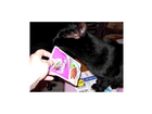 Die-packung-ist-ok