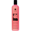 Shunga-bath-shower-gel