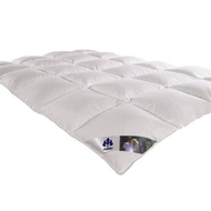 Irisette-collection-8065501