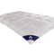 Irisette-daunen-kassettendecke-classic