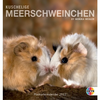 Meerschweinchen-kalender