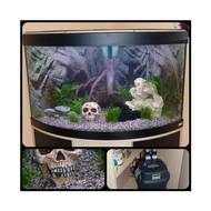 Natuerlich-kommt-noch-ein-bild-von-meinem-noch-recht-leeren-aquarium