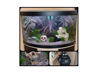 Natuerlich-kommt-noch-ein-bild-von-meinem-noch-recht-leeren-aquarium