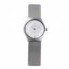 Skagen-damenuhr-233xsss1