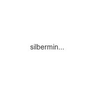 silbermine-ch