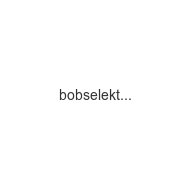 bobselektro-de