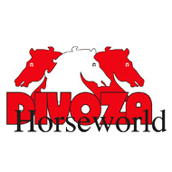 divoza-horseworld