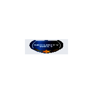 securitywelt