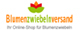 blumenzwiebelnversand