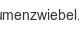 blumenzwiebel-de
