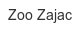 zoo-zajac
