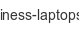 business-laptops-de