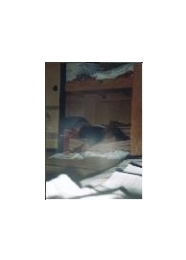 sleepers