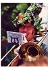 Schlingel62