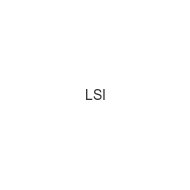 LSI lsi