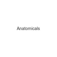 anatomicals