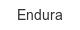 Endura endura