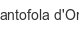 Pantofola d'Oro pantofola-d-oro