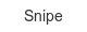 Snipe snipe