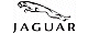 Jaguar jaguar
