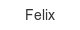 Felix felix