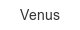Venus venus