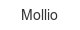 Mollio mollio