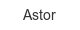 Astor astor