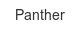 Panther panther