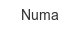 Numa numa