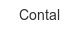 Contal contal