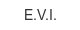 E.V.I. e-v-i