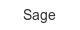 Sage sage