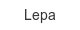 Lepa lepa