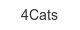4Cats 4cats