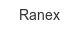 Ranex ranex