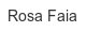 Rosa Faia rosa-faia