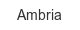 Ambria ambria