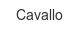 Cavallo cavallo